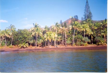 LA PLAGE