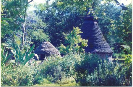 EMBRYON DE VILLAGE KANAK
