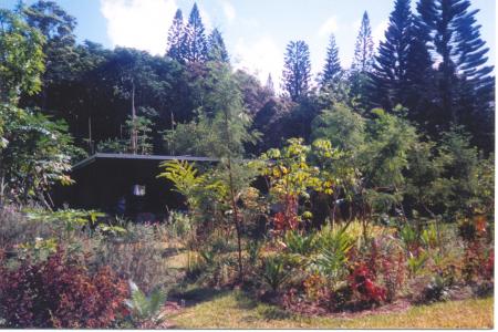 LA MAISON DANS LES FLEURS